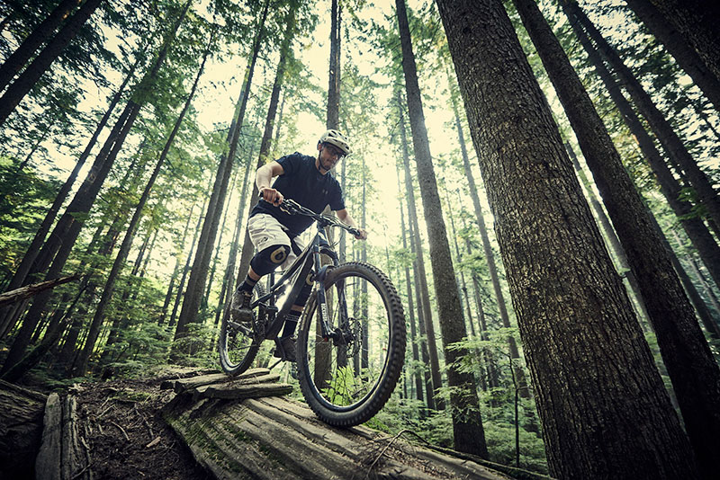 Neighbourhood Gallery